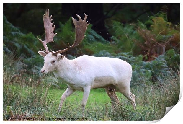 White Fallow Deer Stag Print by Gemma De Cet