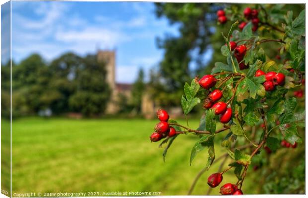 Beauty of Berries. Canvas Print by 28sw photography