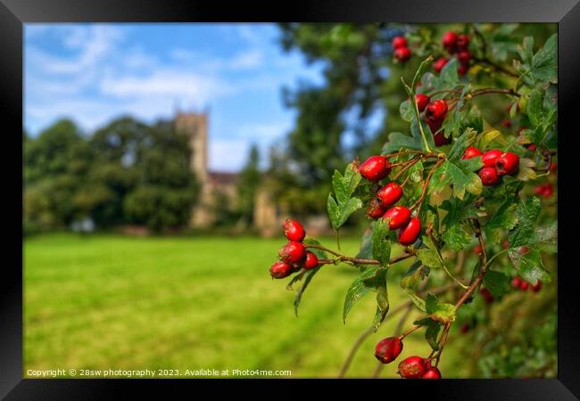 Beauty of Berries. Framed Print by 28sw photography