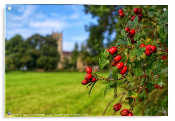 Beauty of Berries. Acrylic by 28sw photography