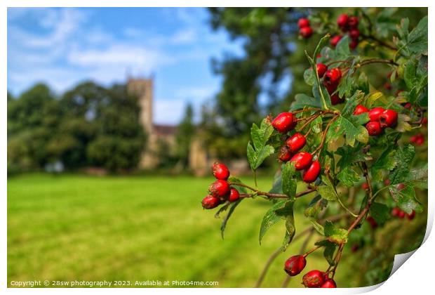Beauty of Berries. Print by 28sw photography