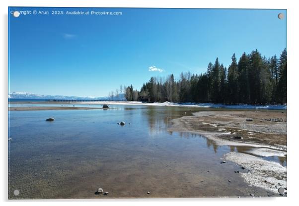 Lake tahoe Sugar Pine state park Acrylic by Arun 