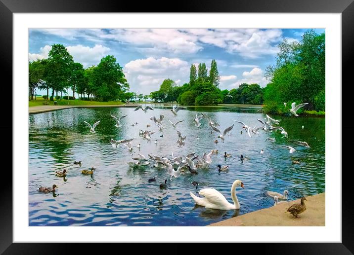Pontefract Park Framed Mounted Print by Alison Chambers