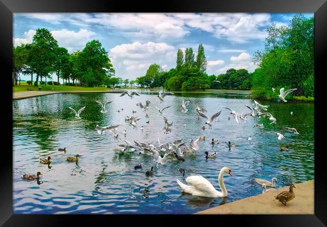 Pontefract Park Framed Print by Alison Chambers
