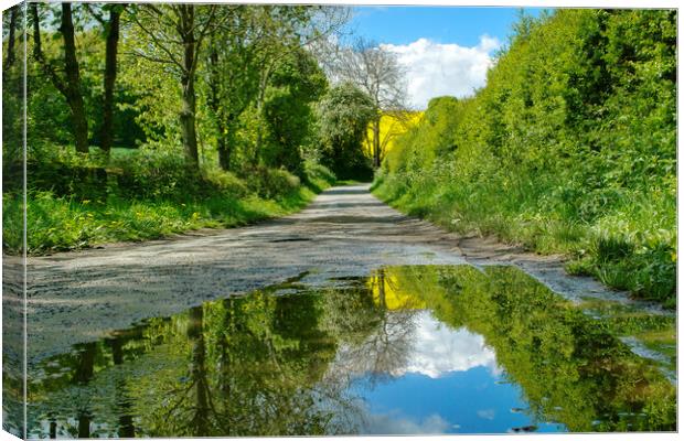 Country Lane Puddle Canvas Print by Alison Chambers
