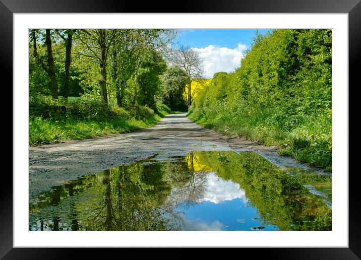 Country Lane Puddle Framed Mounted Print by Alison Chambers