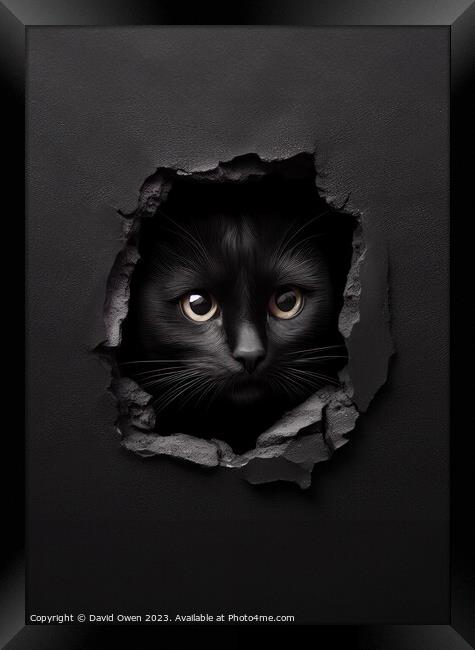 Cat peeking Framed Print by David Owen