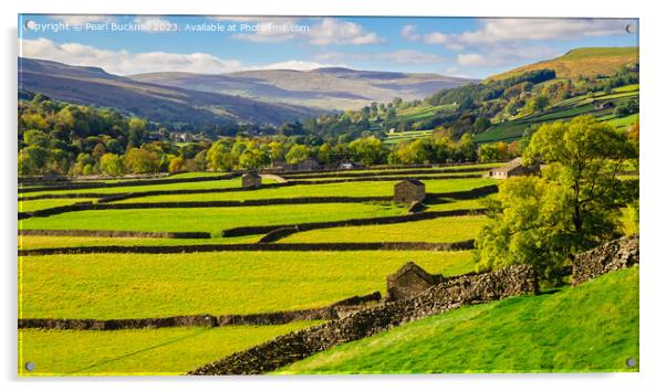 Swaledale Yorkshire Dales English Countryside pano Acrylic by Pearl Bucknall