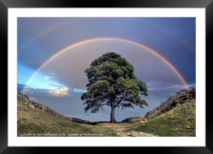Rainbow over Sycamore Gap (The Robin Hood Tree) Framed Mounted Print by Tom McPherson