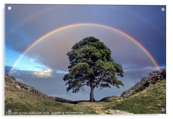 Rainbow over Sycamore Gap (The Robin Hood Tree) Acrylic by Tom McPherson