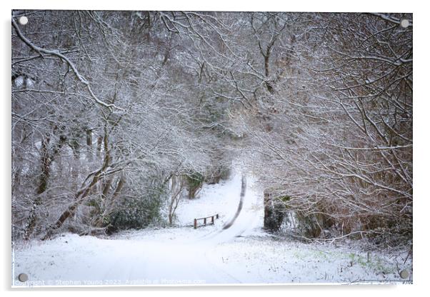 Winter's Whisper: English Countryside Lane Acrylic by Stephen Young