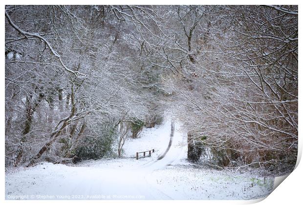 Winter's Whisper: English Countryside Lane Print by Stephen Young
