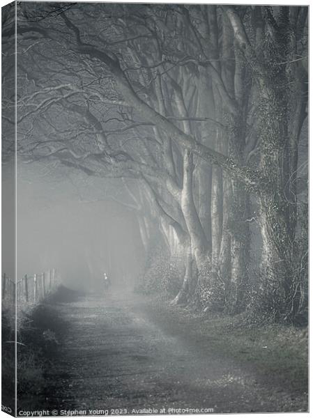 Misty Morning Reverie: Watership Down Country Lane Canvas Print by Stephen Young