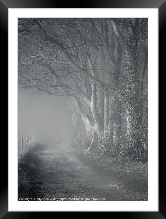 Misty Morning Reverie: Watership Down Country Lane Framed Mounted Print by Stephen Young