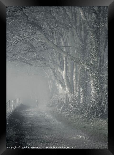 Misty Morning Reverie: Watership Down Country Lane Framed Print by Stephen Young