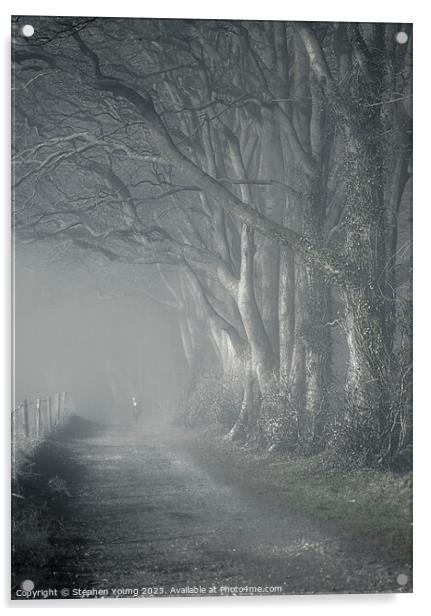Misty Morning Reverie: Watership Down Country Lane Acrylic by Stephen Young
