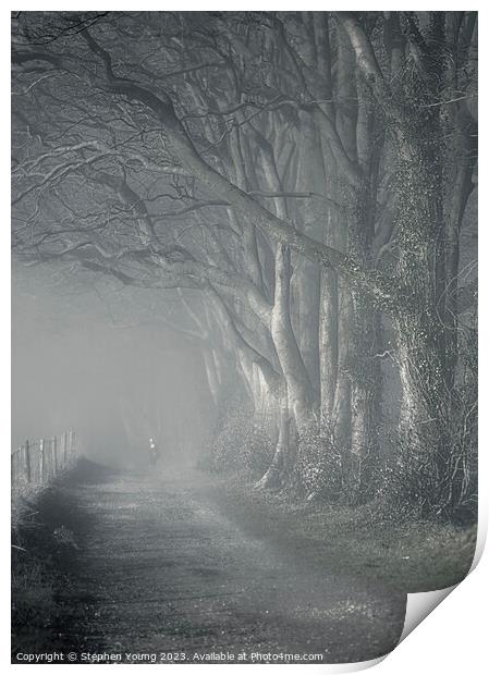 Misty Morning Reverie: Watership Down Country Lane Print by Stephen Young