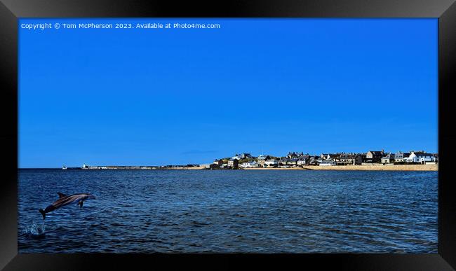 Burghead Bay and Dolphin Framed Print by Tom McPherson