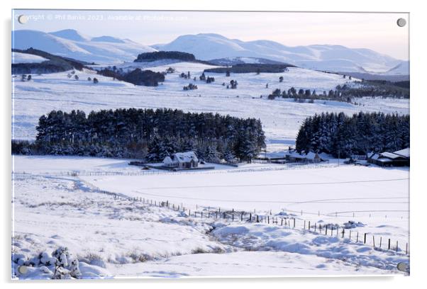 The Cairngorm Mountains from Dorback Acrylic by Phil Banks