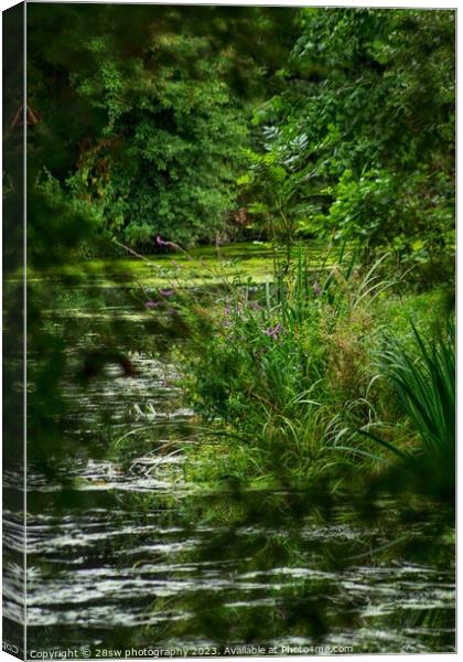 Water Framed. Canvas Print by 28sw photography