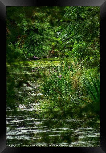Water Framed. Framed Print by 28sw photography