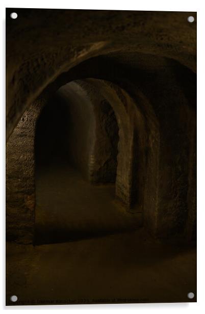 Znojmo Underground Labyrinth or Catacombs Interior Acrylic by Dietmar Rauscher