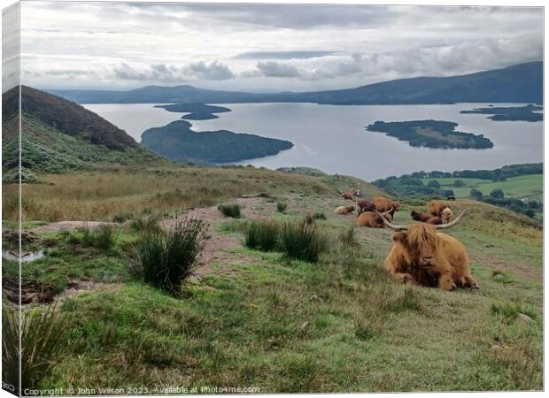 Highland Cows looking down on Loch Lomond Canvas Print by John Wilson