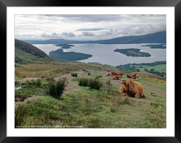 Highland Cows looking down on Loch Lomond Framed Mounted Print by John Wilson