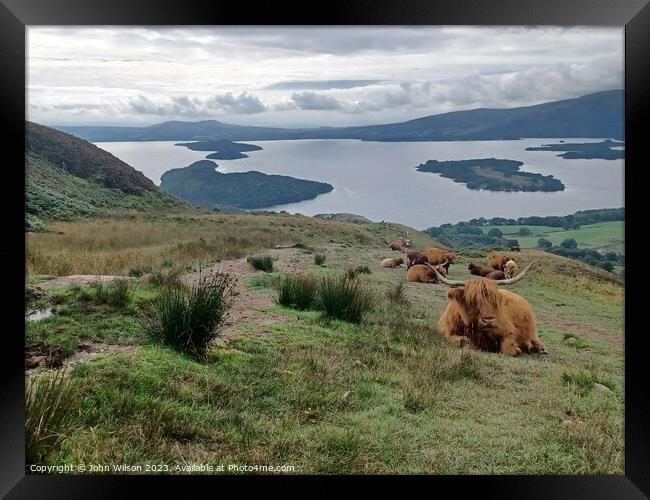 Highland Cows looking down on Loch Lomond Framed Print by John Wilson