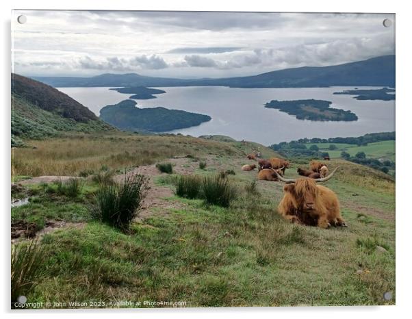 Highland Cows looking down on Loch Lomond Acrylic by John Wilson