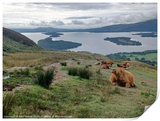 Highland Cows looking down on Loch Lomond Print by John Wilson