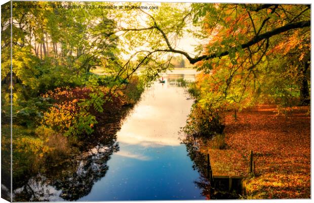 Autumn cast Canvas Print by Arnie Livingston