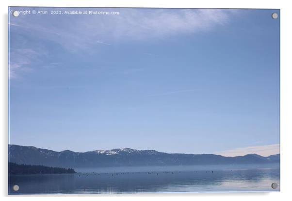 Lake tahoe Sugar Pine state park Acrylic by Arun 