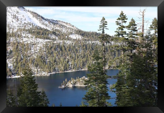 Lake Tahoe in the winter Framed Print by Arun 