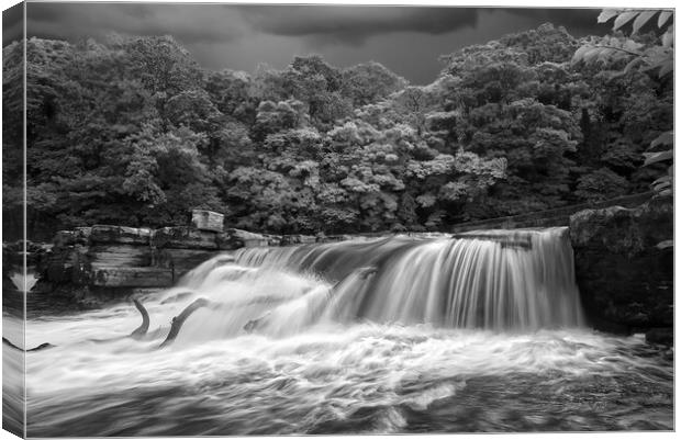 River Swale Richmond  Canvas Print by Alison Chambers