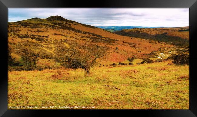 Dartmoor Landscape Framed Print by Stephen Hamer