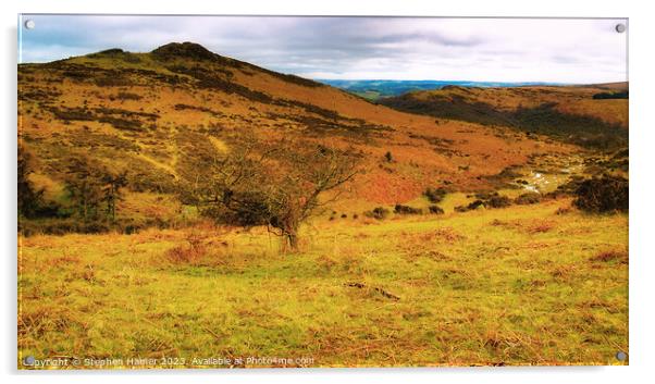 Dartmoor Landscape Acrylic by Stephen Hamer