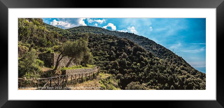 Path for walking between Monterosso and Vernazza Cinque Terre, I Framed Mounted Print by Frank Bach