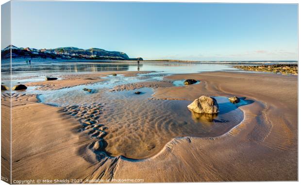 Shallow Rock Pool Canvas Print by Mike Shields