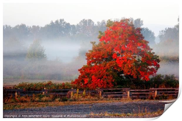 Season of mist and mellow fruitfulness. Print by ANN RENFREW