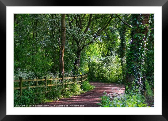 The light and Leading are the Lines. Framed Mounted Print by 28sw photography
