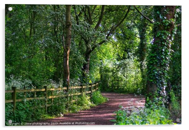 The light and Leading are the Lines. Acrylic by 28sw photography