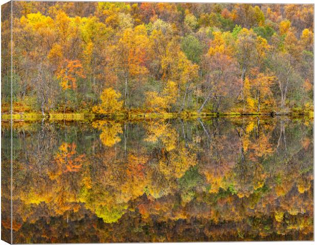 Autumn reflections Canvas Print by Robert Canis