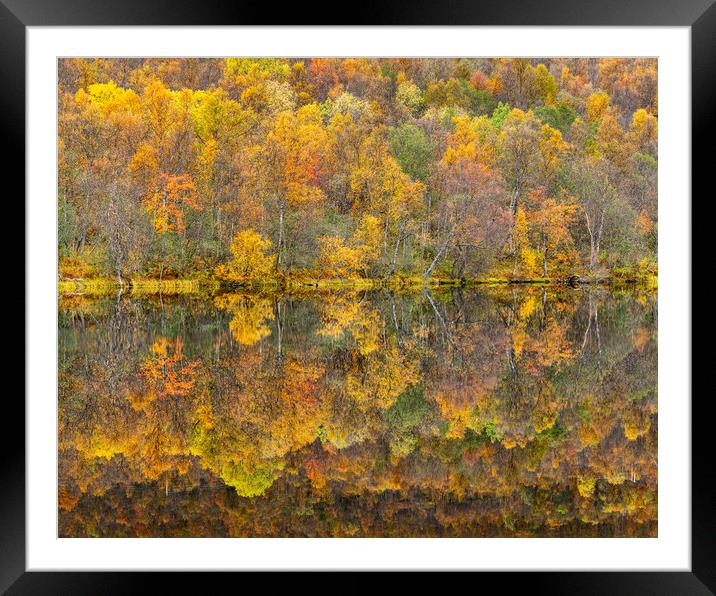 Autumn reflections Framed Mounted Print by Robert Canis