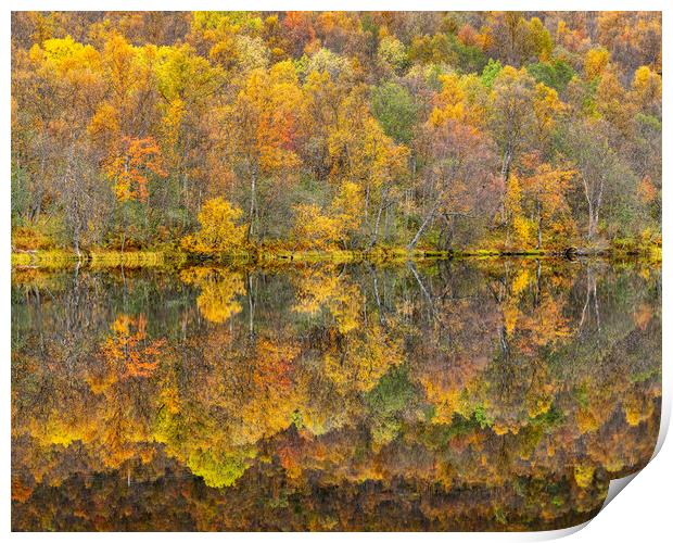 Autumn reflections Print by Robert Canis