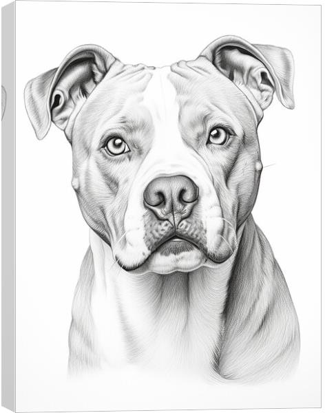 American Bulldog Pencil Drawing Canvas Print by K9 Art
