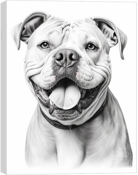 American Bulldog Pencil Drawing Canvas Print by K9 Art