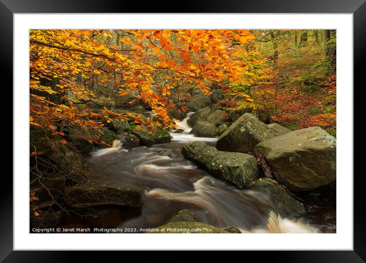 Autumn Flow Framed Mounted Print by Janet Marsh  Photography