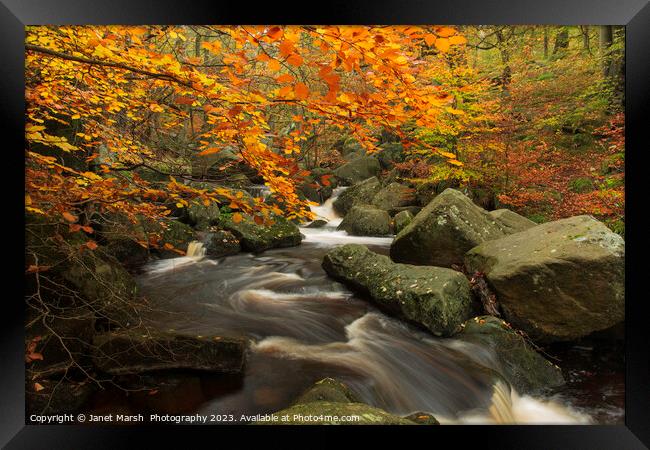 Autumn Flow Framed Print by Janet Marsh  Photography