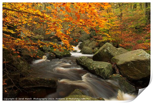 Autumn Flow Print by Janet Marsh  Photography